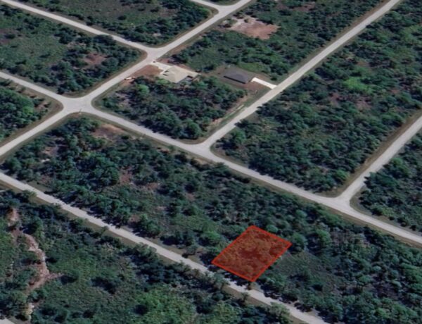 Olmstead St. Port Charlotte FL..