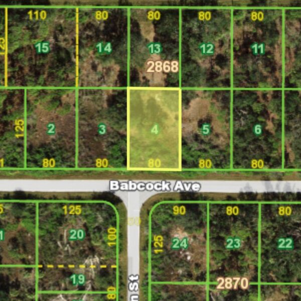 Babcock Ave, Port Charlotte FL