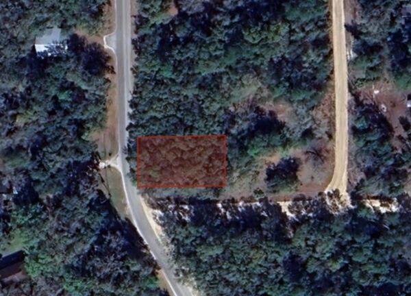 Lot 42 Hillsborough Ave, Florahome FL